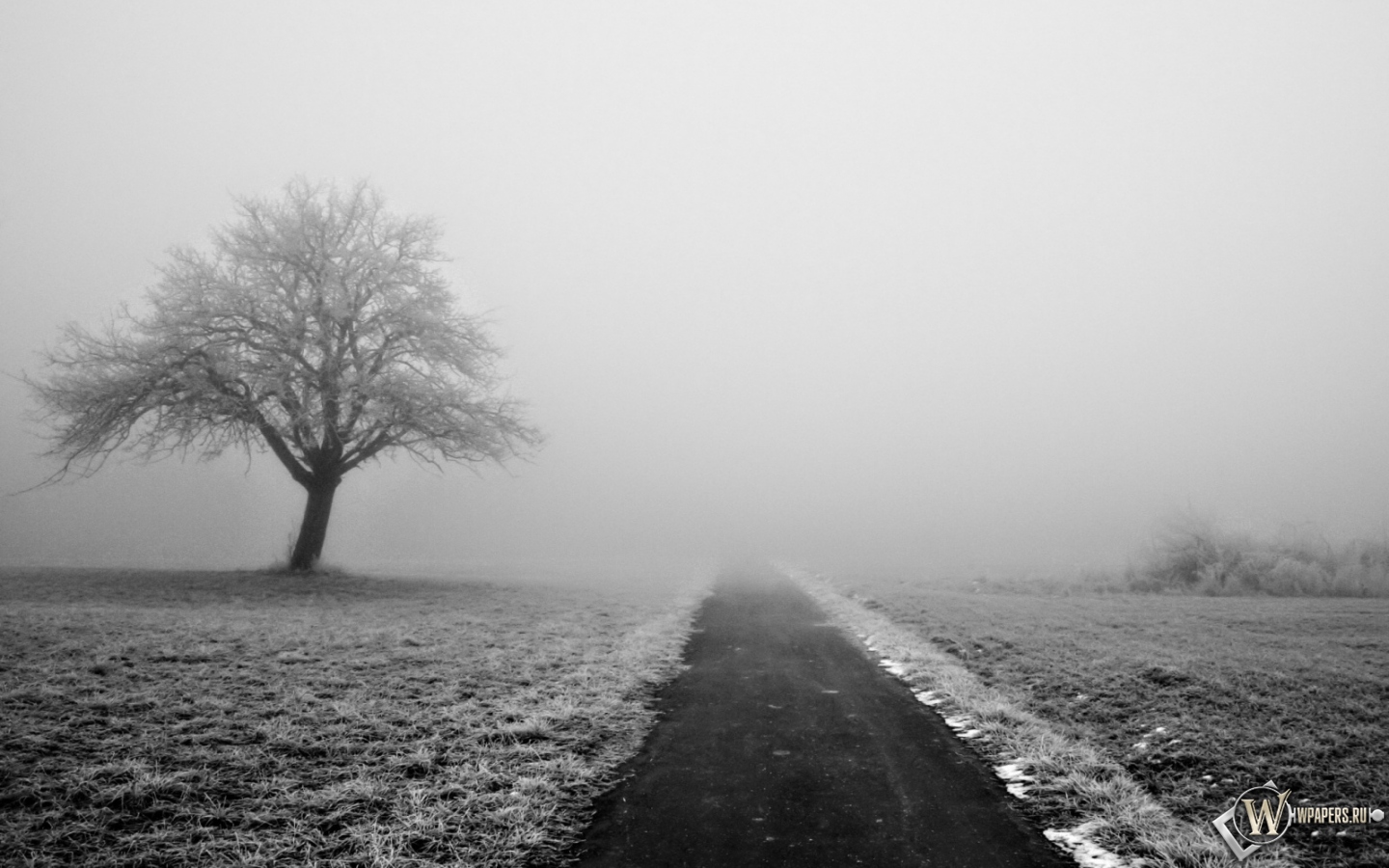 Туман 1440x900