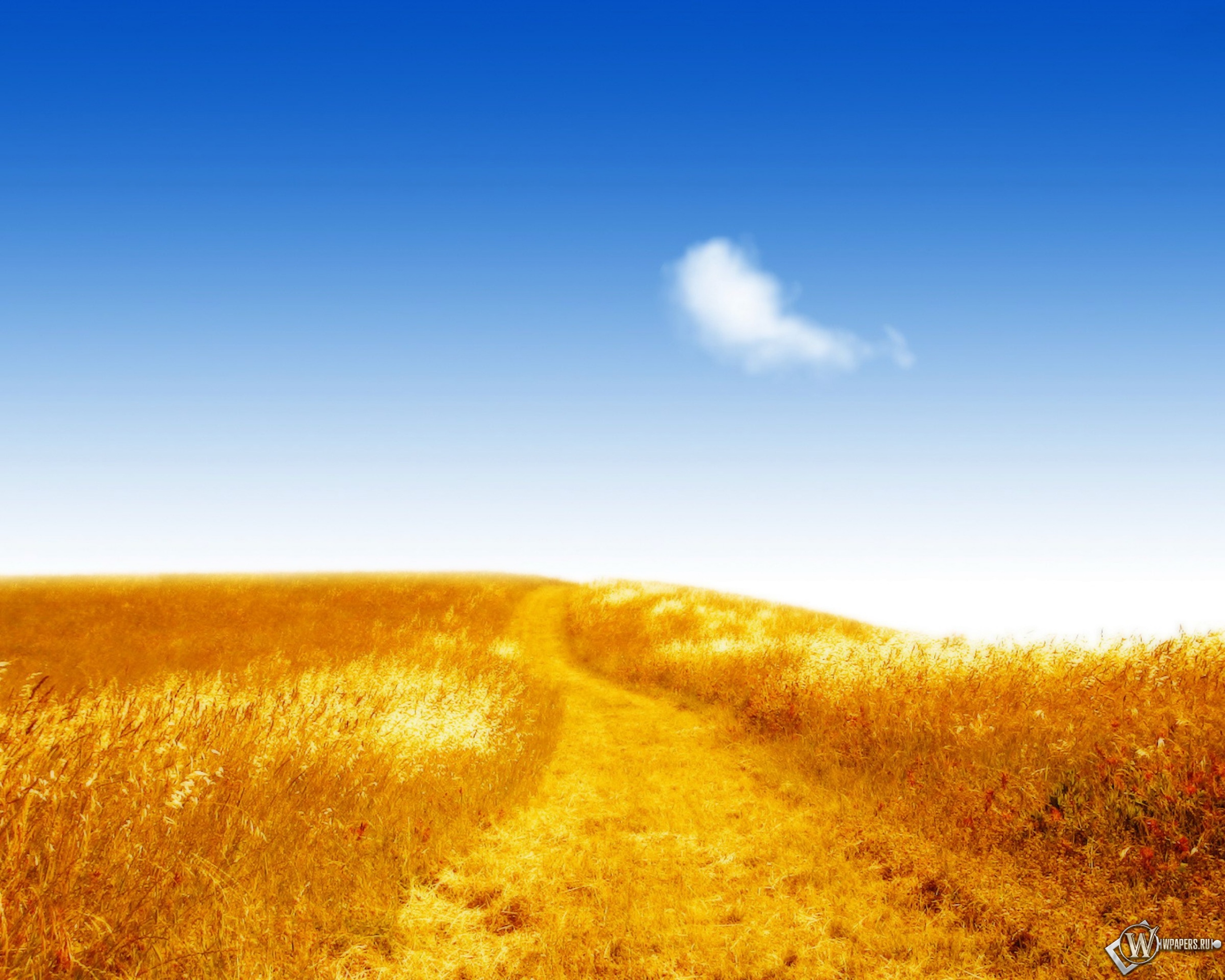 Песня золотое лето. Золотое пшеничное поле Украина. Пшеничное поле фото. Пшеница фон. Поле и небо.