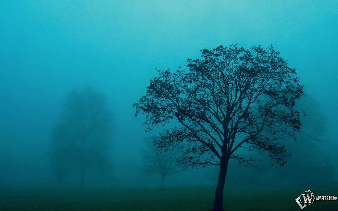Голубой туман 1440x900