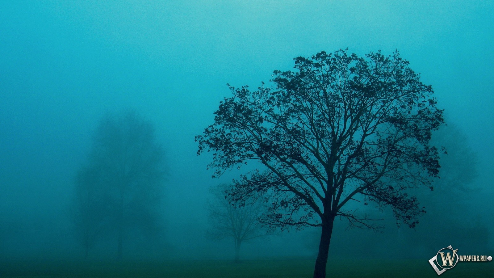 Голубой туман 1600x900