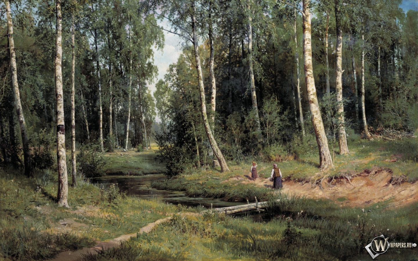 Шишкин ручей в берёзовом лесу 1440x900