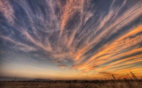 Обои Перистые облака над полем: Облака, Закат, Поле, Небо, Природа
