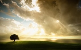 Обои Enlightenment: Облака, Свет, Дерево, Природа