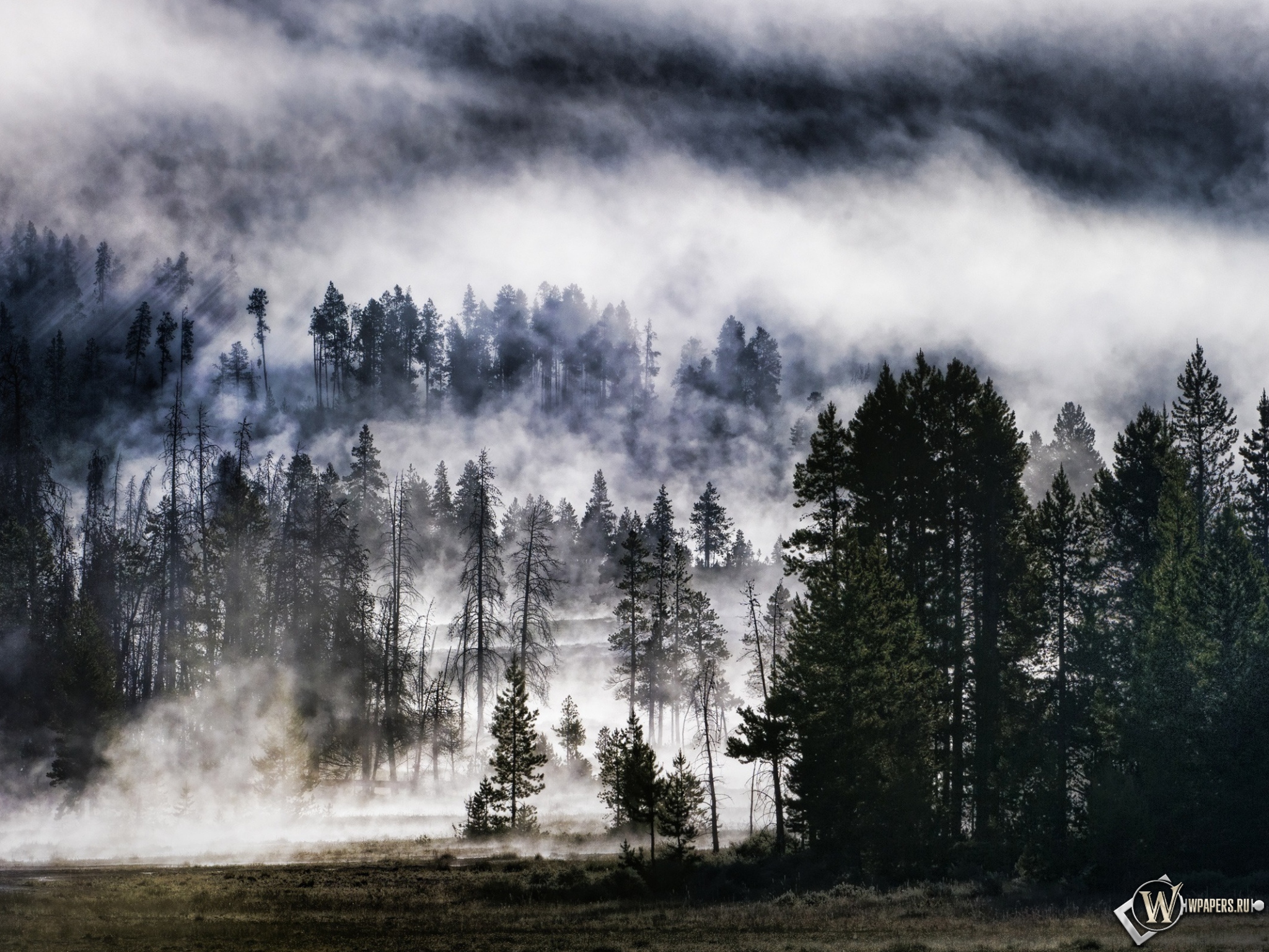 Лес в тумане 2048x1536