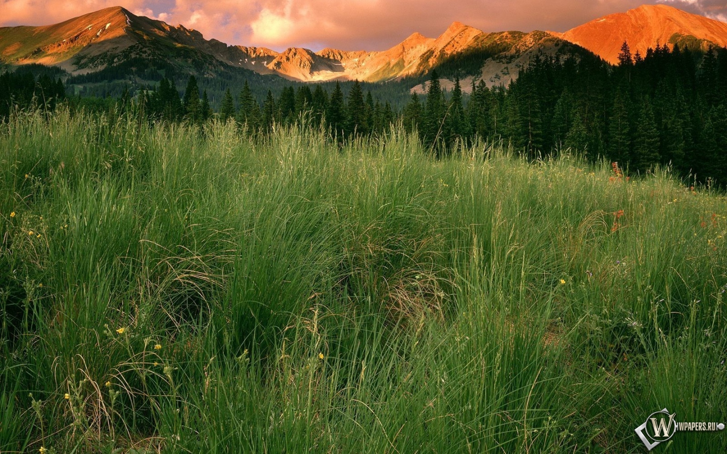 Парк в Колорадо 1440x900