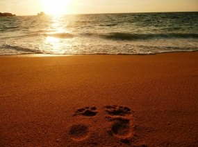 Обои Следы на песке: Песок, Море, Океан, Следы, Природа