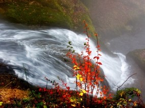 Обои Осенний водопад: Река, Осень, Водопад, Листья, Природа