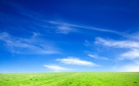 Обои горизонт зелёного поля: Природа, Поле, Трава, Небо, Горизонт, Природа