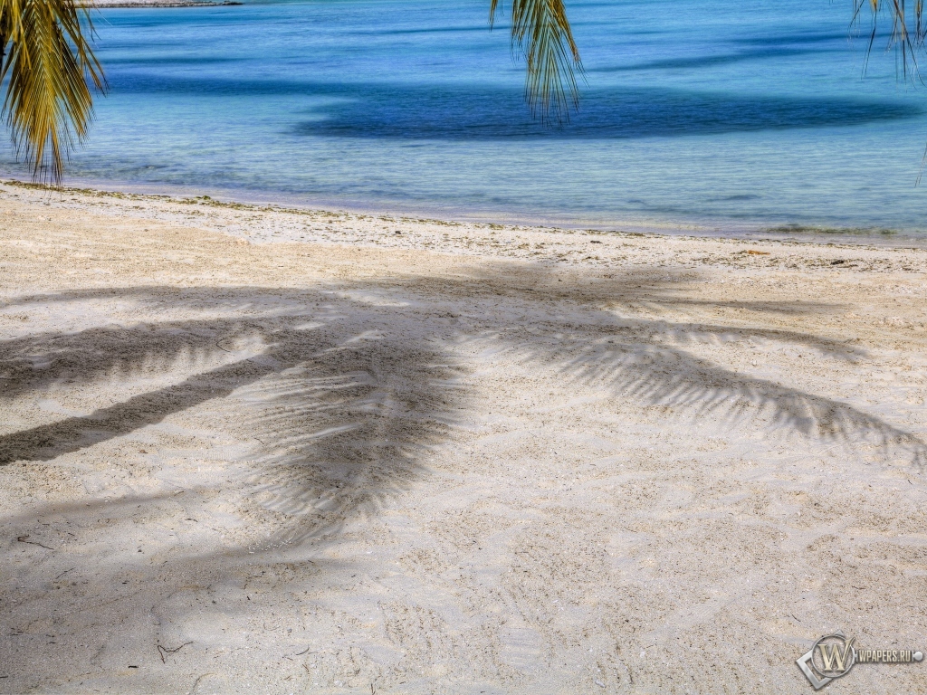 Пляж с пальмами 1024x768