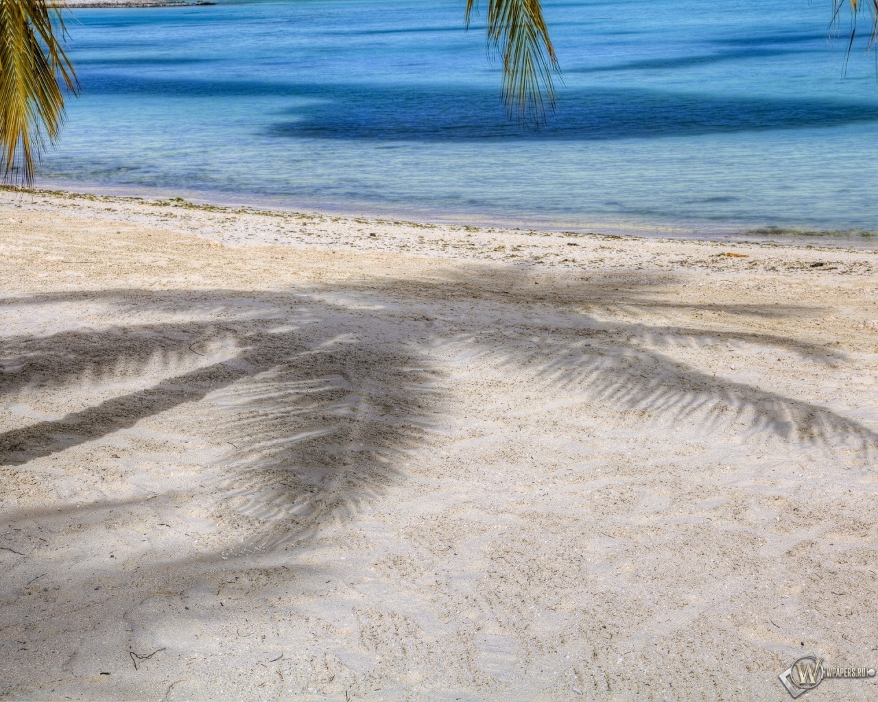 Пляж с пальмами 1280x1024