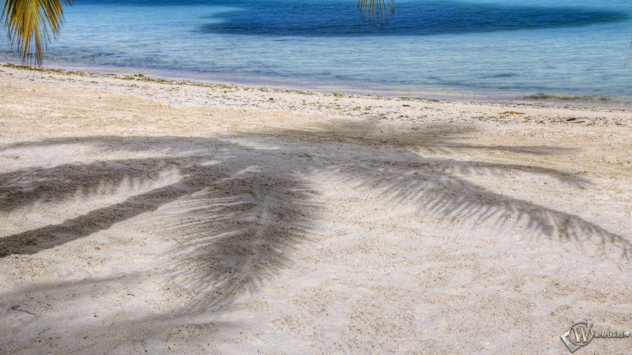 Пляж с пальмами 1280x720