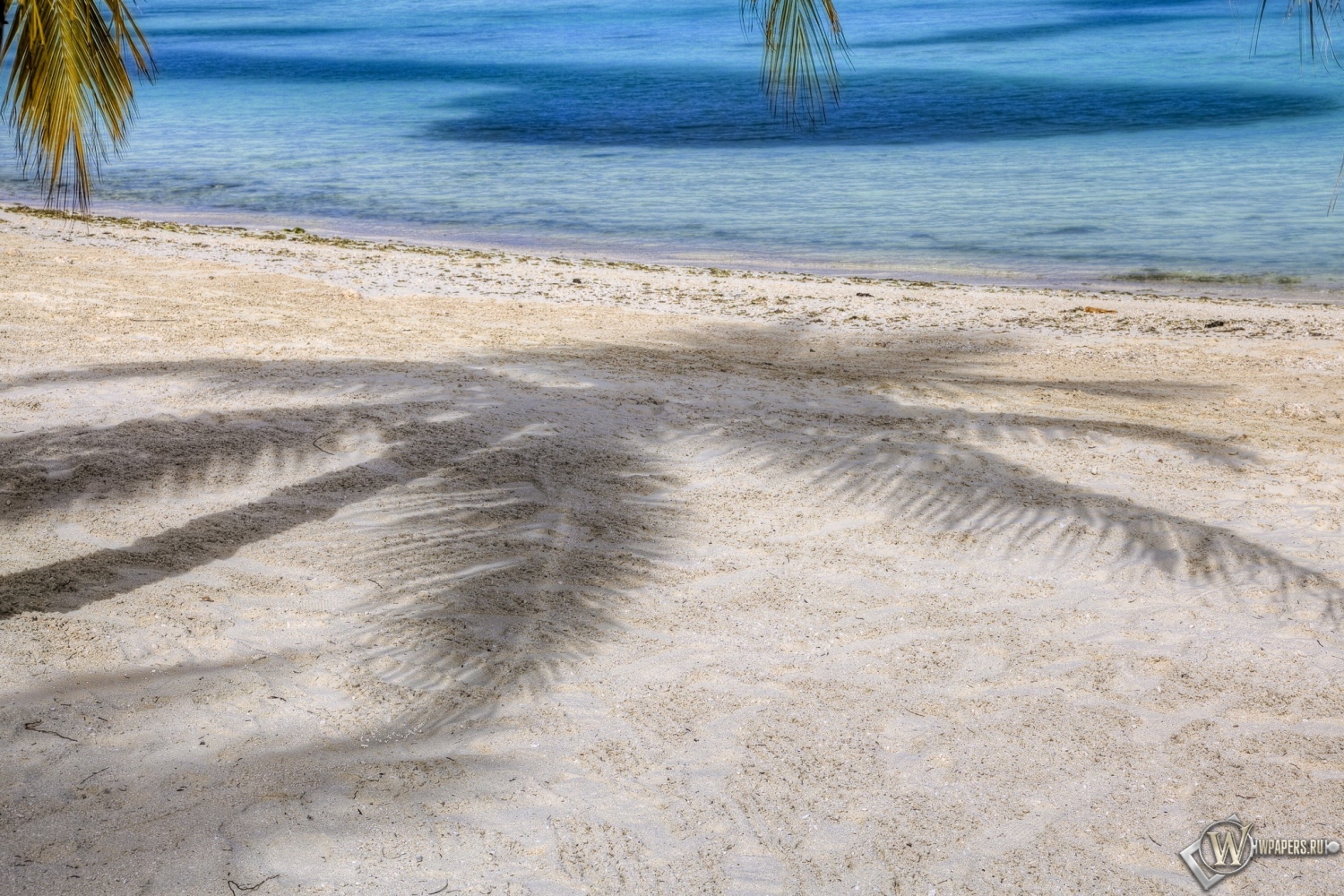 Пляж с пальмами 1500x1000