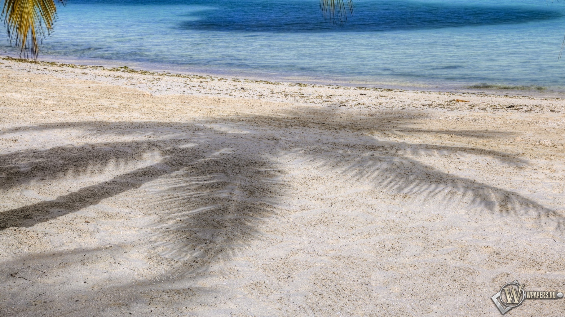 Пляж с пальмами 1920x1080