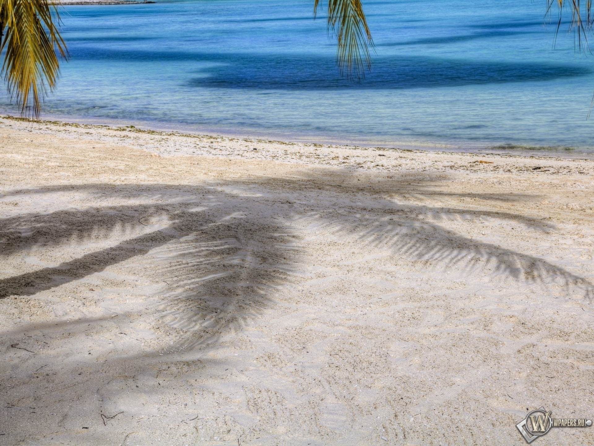 Пляж с пальмами 1920x1440