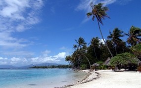 Обои Мальдивы: Пальмы, Пляж, Песок, Небо, Прочие пейзажи