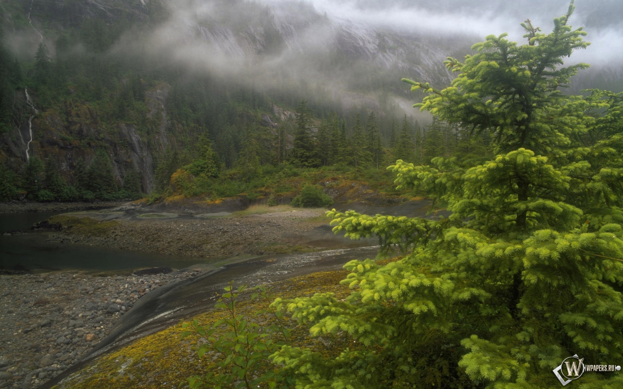 Природа Аляски 1280x800