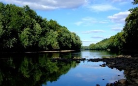 Обои Лесная река: Река, Лес, Небо, Природа