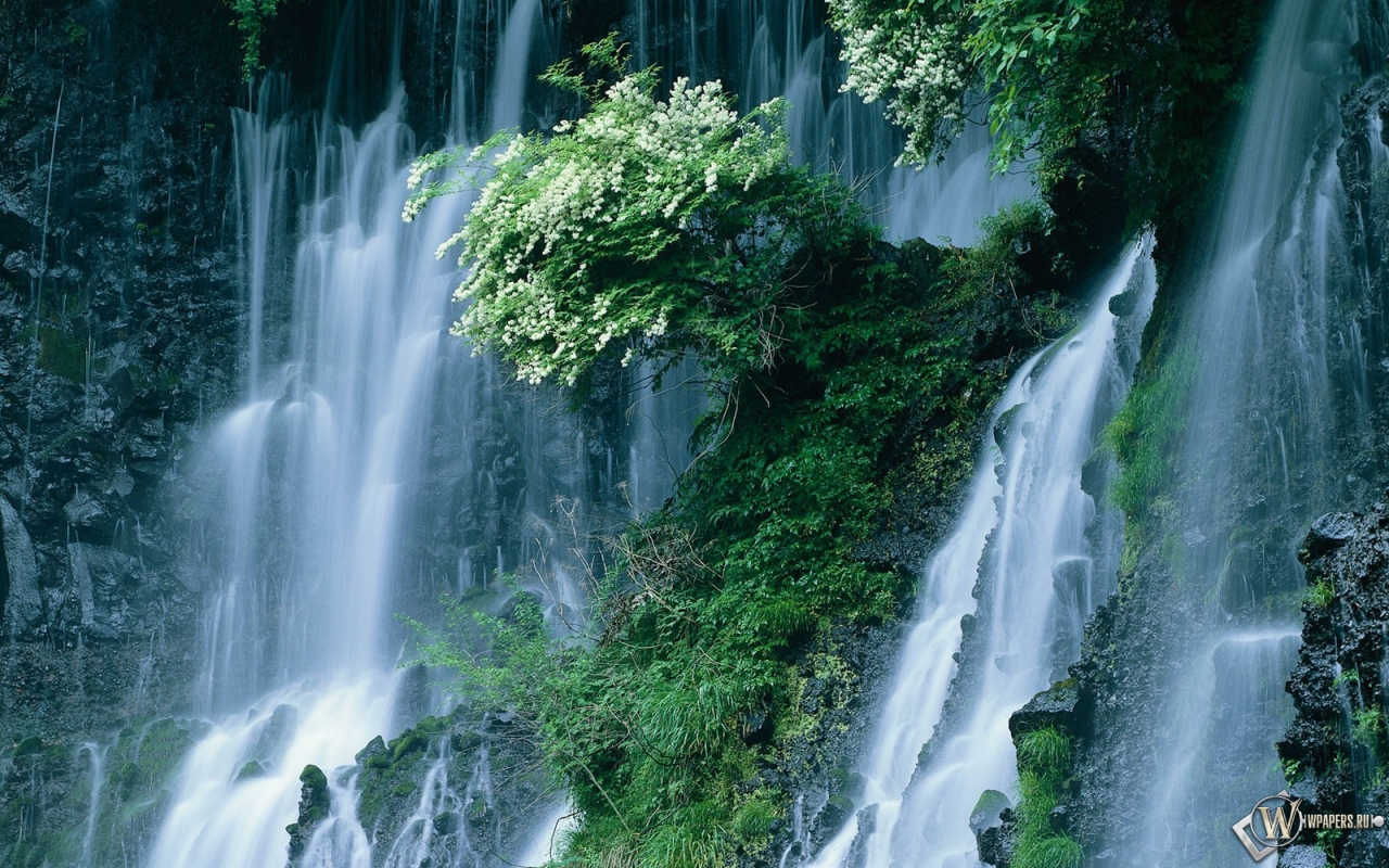 Водопад Японии 1280x800