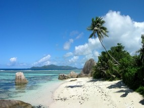 Обои Ла-Реюньон Сейшелы: Пальмы, Пляж, Море, Остров, Природа