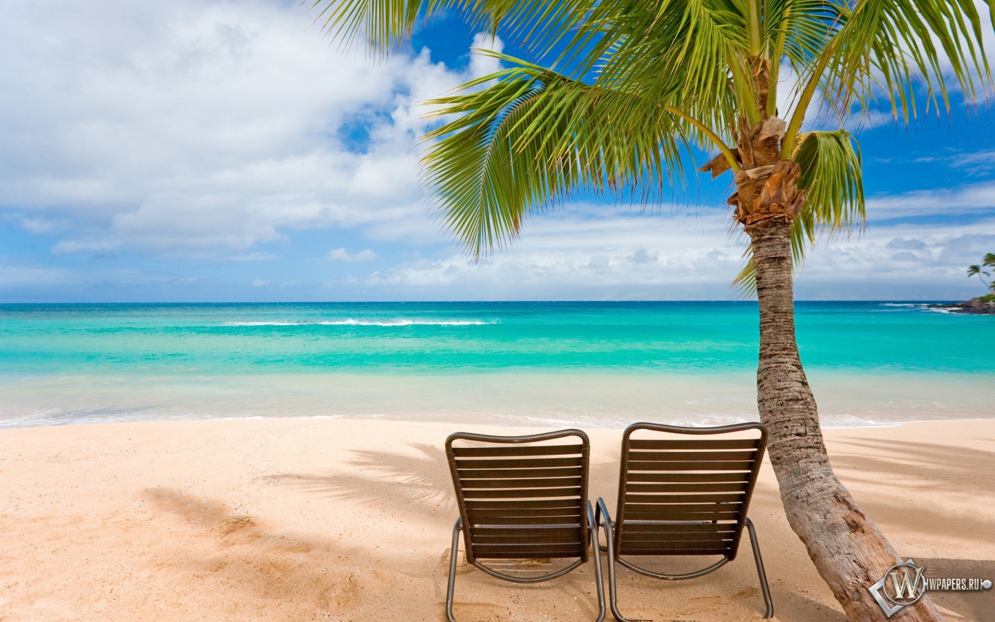 Пляж с пальмами 1440x900