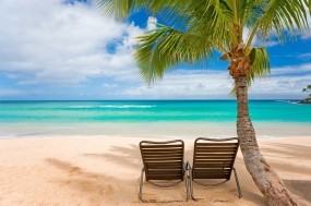 Обои Пляж с пальмами: Пальмы, Пляж, Лето, Острова, Природа