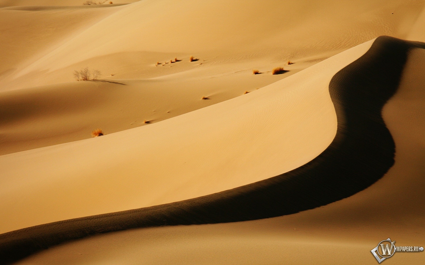 Пустыня 1440x900