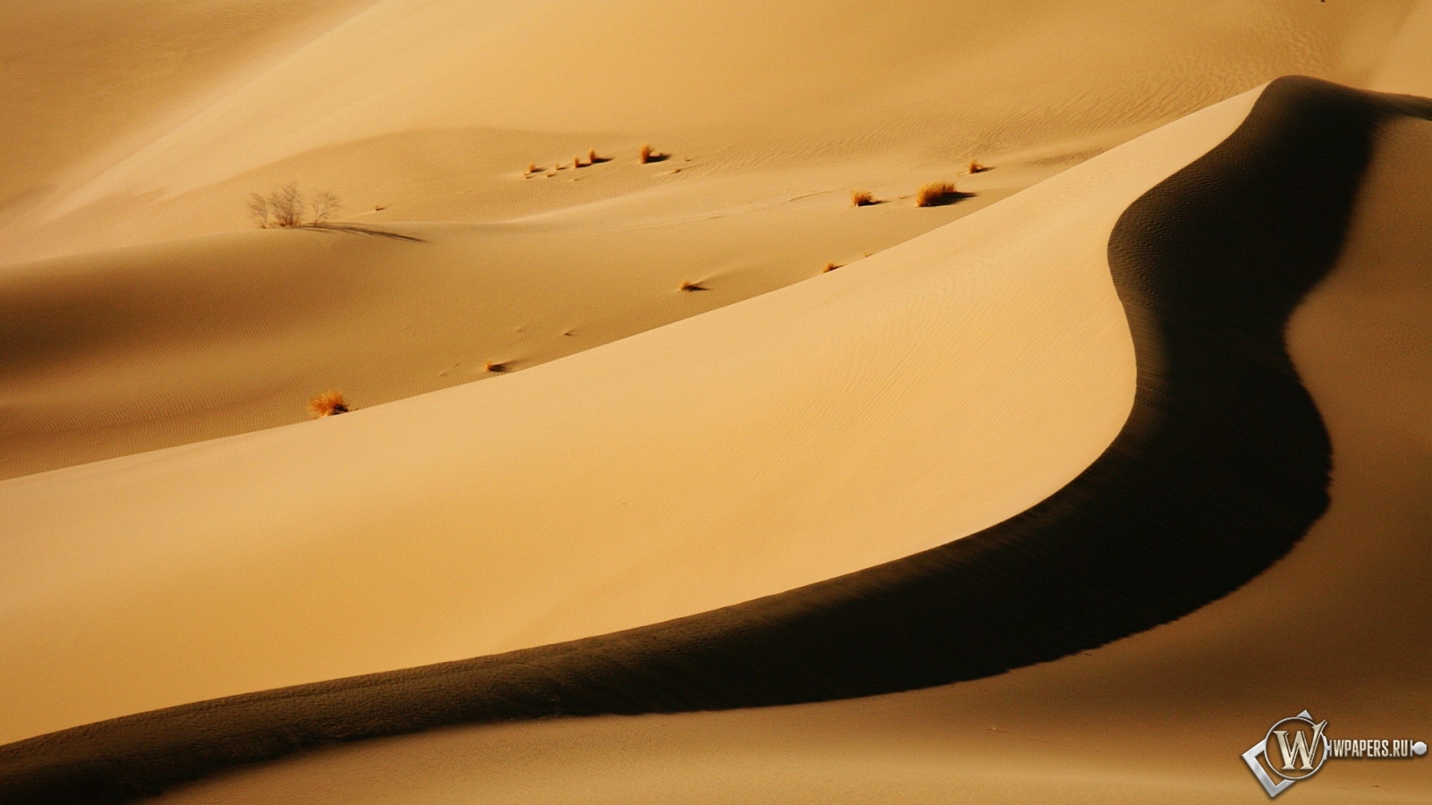Пустыня 1600x900