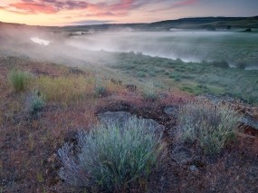 Обои Утро в поле: Река, Туман, Поле, Трава, Утро, Природа