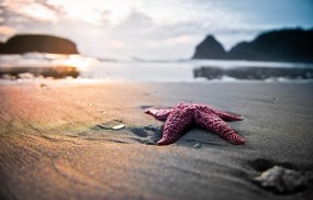Обои Колодец Тора: Пляж, Песок, Природа, Звезда, Природа