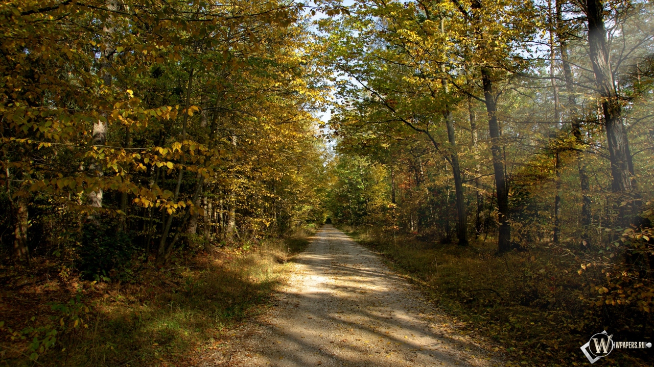 Осенняя тропа в лесу 1280x720