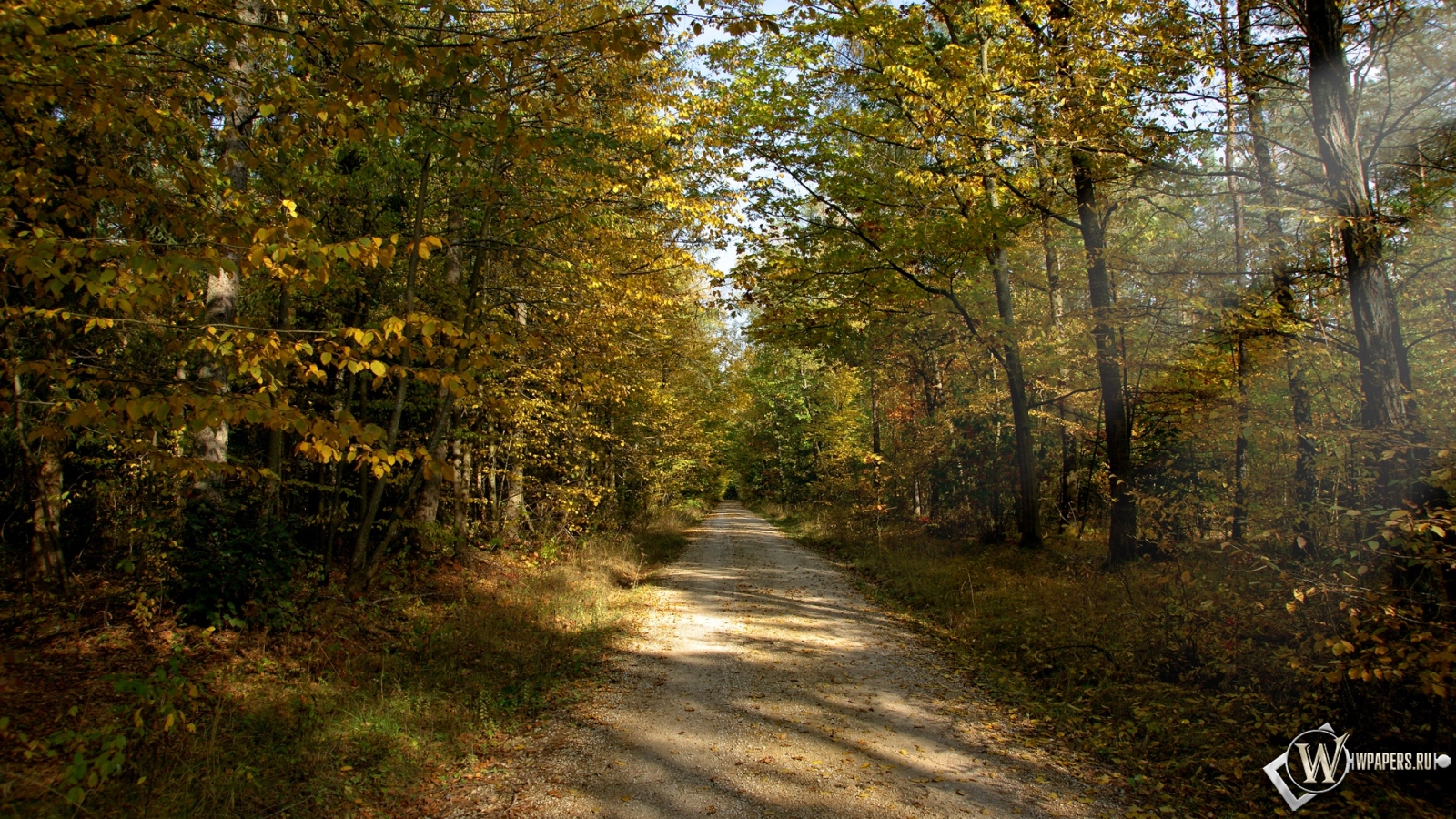 Осенняя тропа в лесу 1600x900