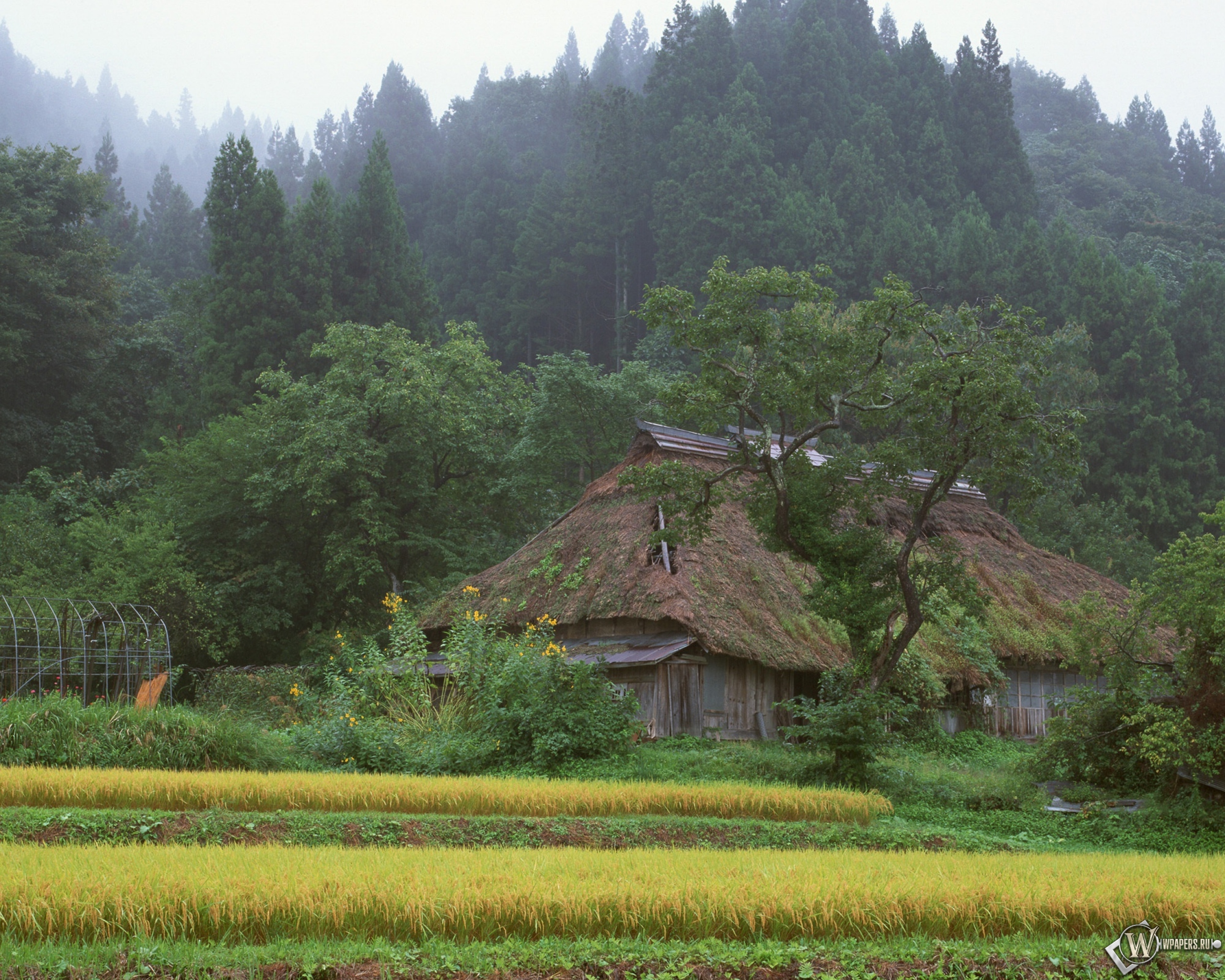 Full village. Деревня в лесу. Дом в лесу. Японский деревенский домик. Японская деревня в горах.