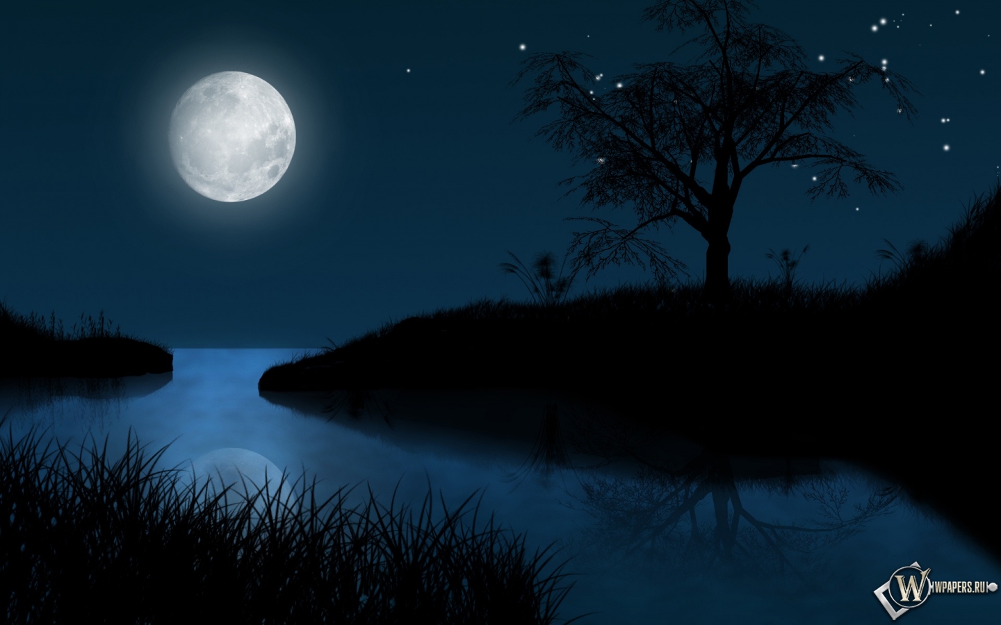 Лунная ночь 1440x900
