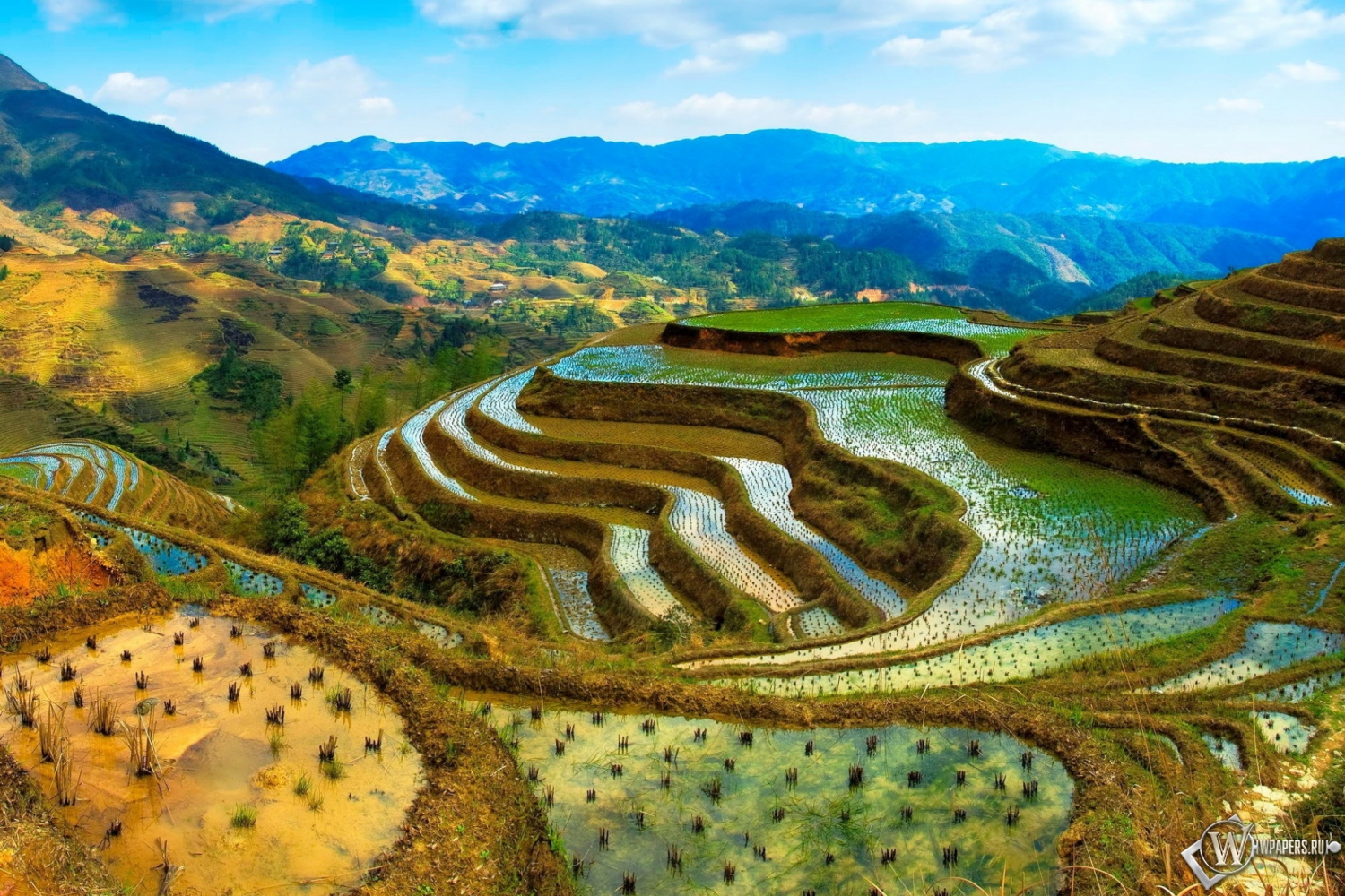 Рисовые поля в Китае 1500x1000