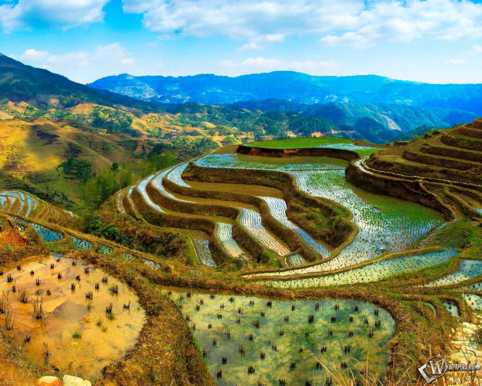 Рисовые поля в Китае 1600x1280