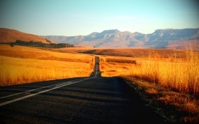 Обои Американская дорога: Путь, Дорога, Трава, Природа
