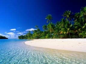 Обои Остров Кука: Пальмы, Волны, Остров, Берег, Природа
