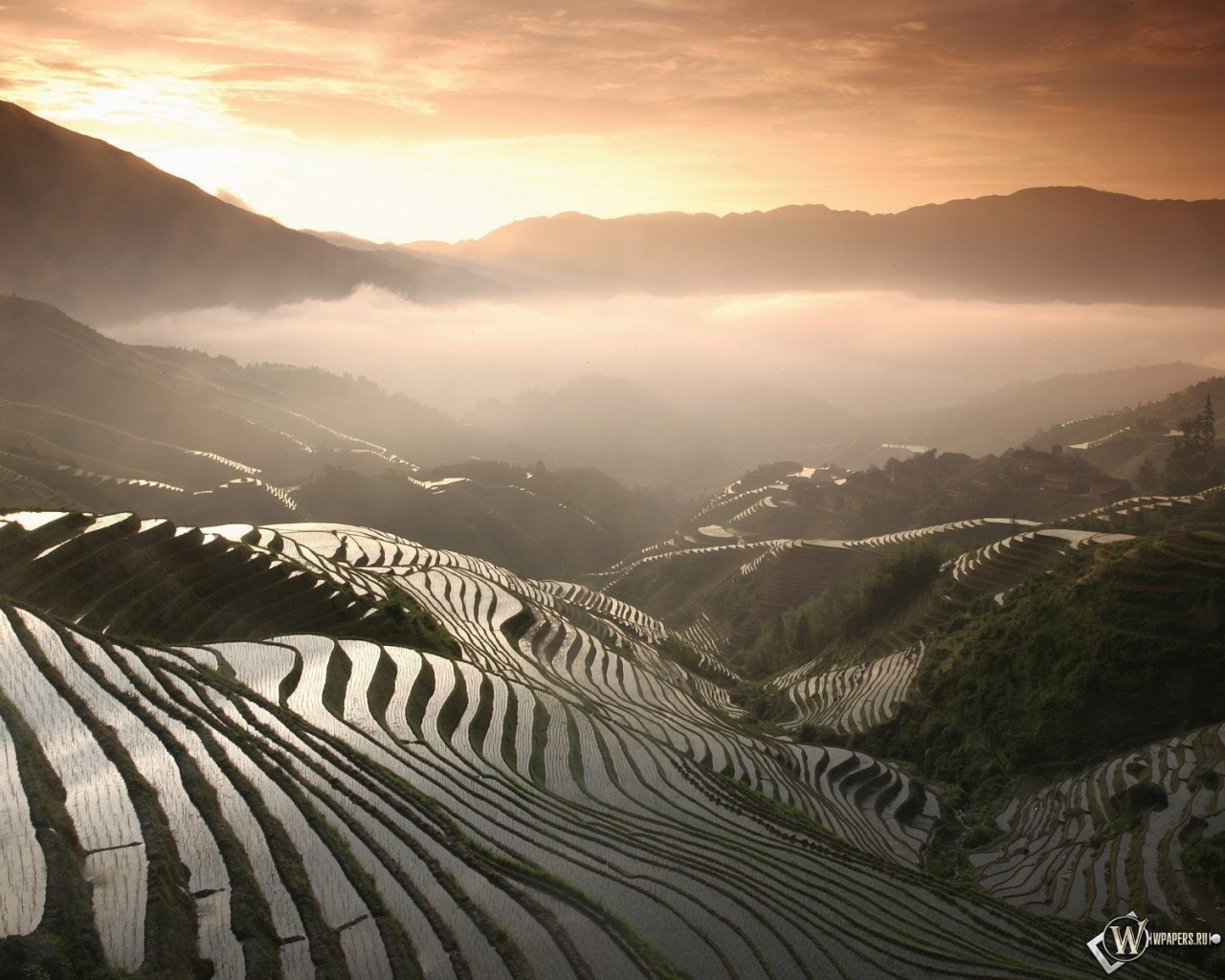 Рисовые поля в Китае 1280x1024