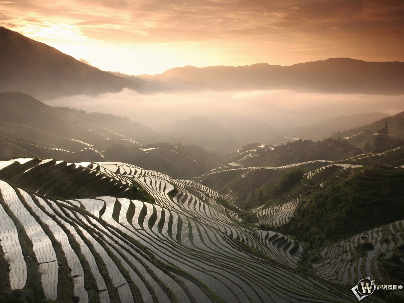 Рисовые поля в Китае 1400x1050