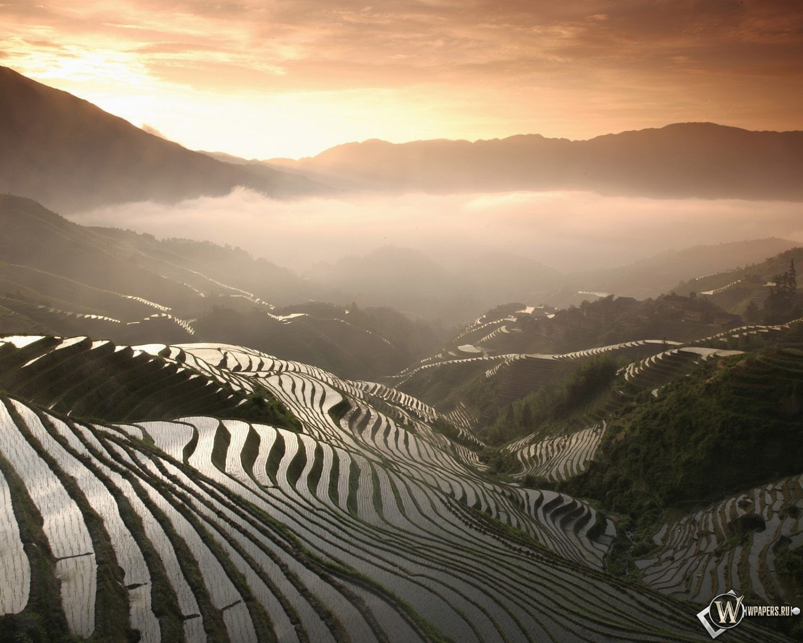 Рисовые поля в Китае 1600x1280