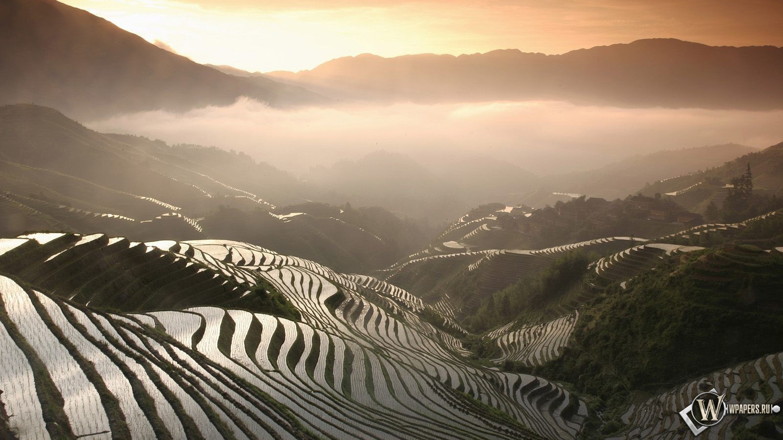 Рисовые поля в Китае 1600x900