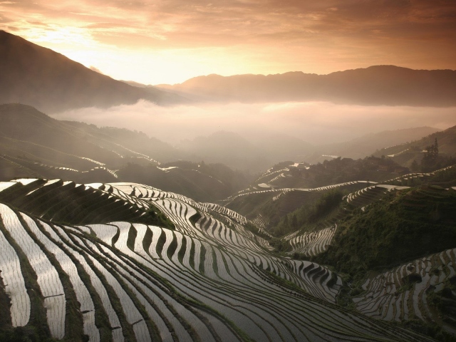Рисовые Поля В Китае Фото