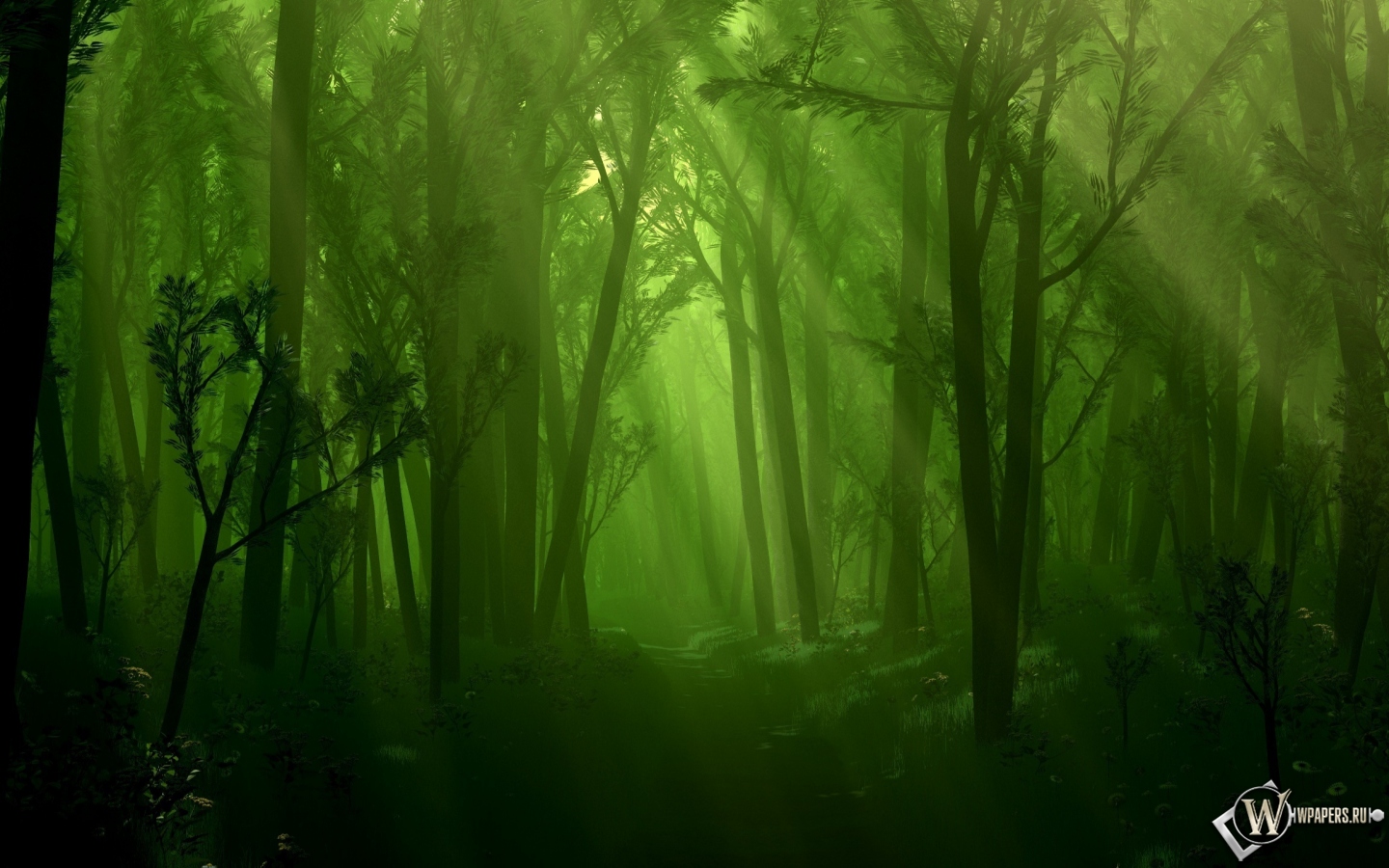 Лес и ручей 1440x900