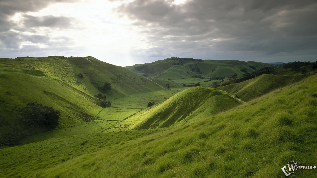 Природа Новой Зеландии 1280x720