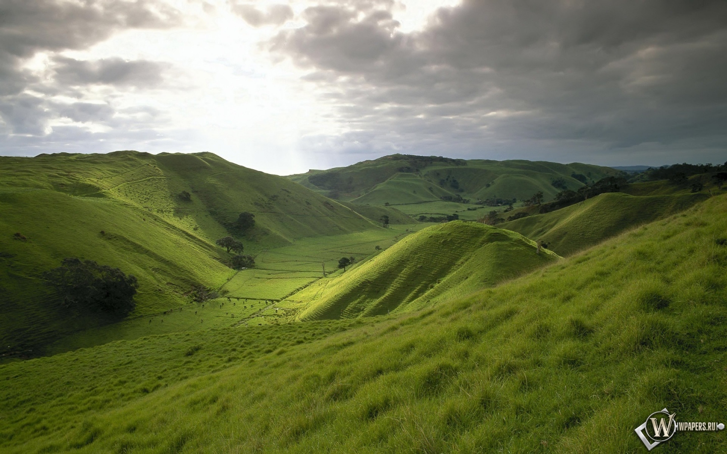 Природа Новой Зеландии 1440x900