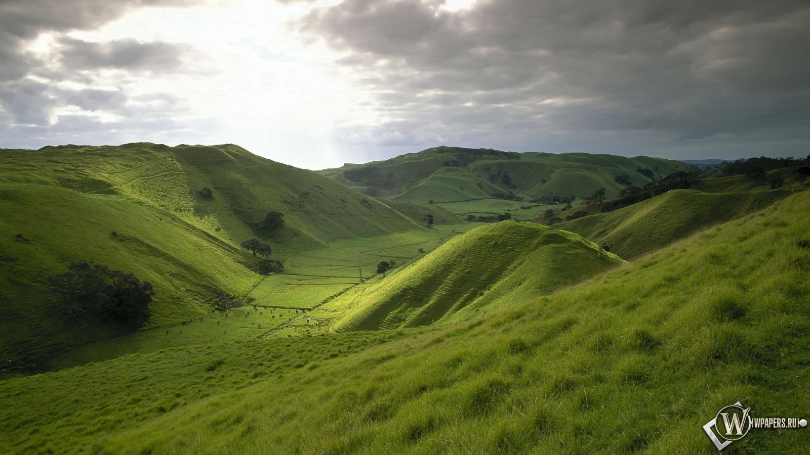 Природа Новой Зеландии 1600x900