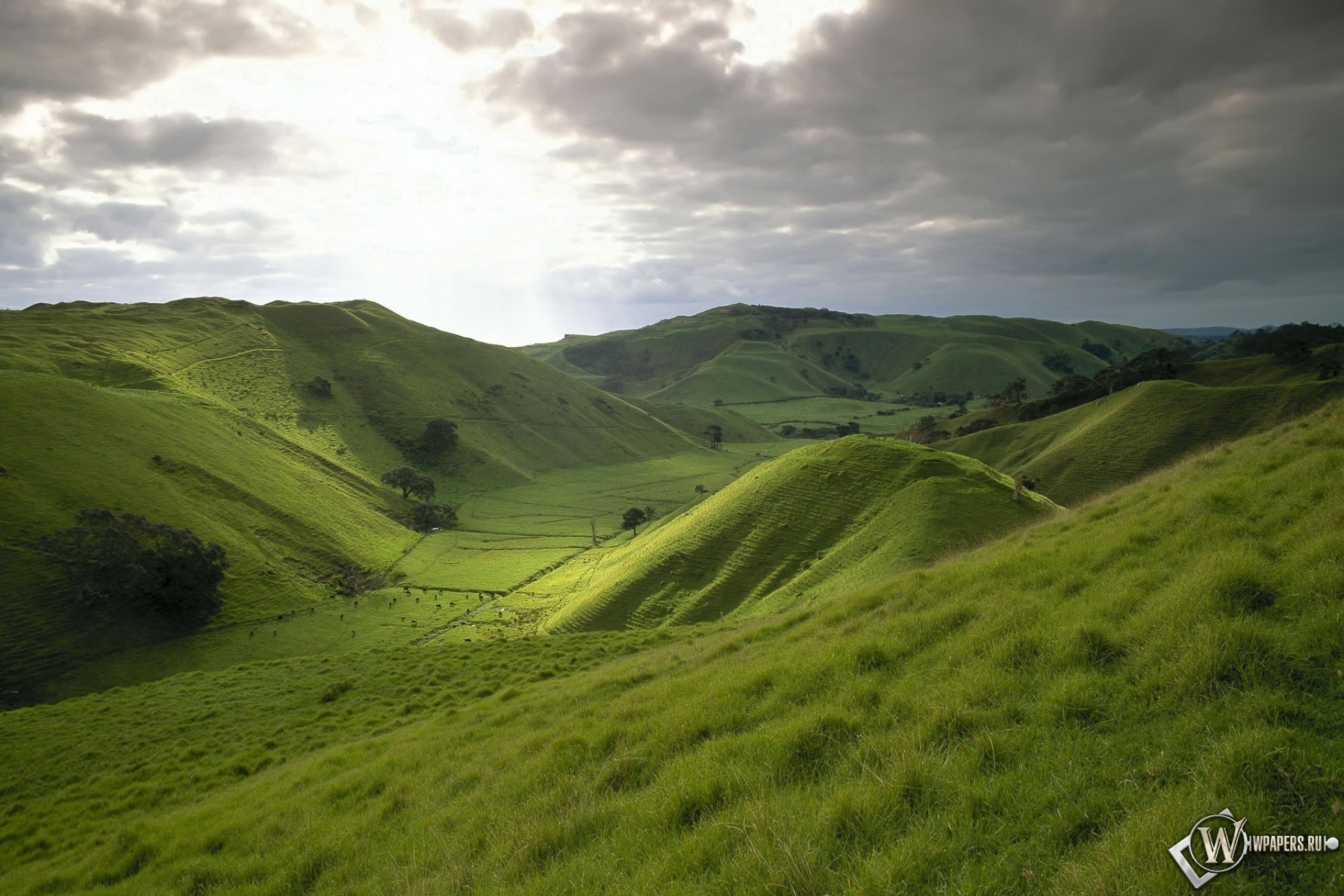 Найти холмы. Штирийско-бургенландская Холмистая равнина. Green Hills зеленые холмы. Холмы и Луга Ирландии. Холмы Бомбей новая Зеландия.
