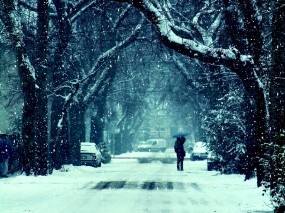 Обои Этой зимой: Зима, Снег, Дорога, Деревья, Мороз, Природа