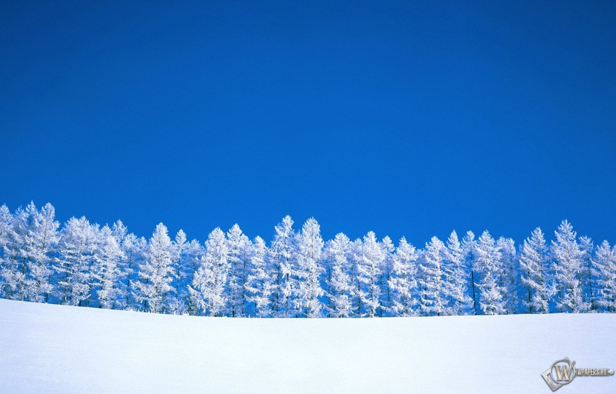 Зимний пейзаж 1200x768