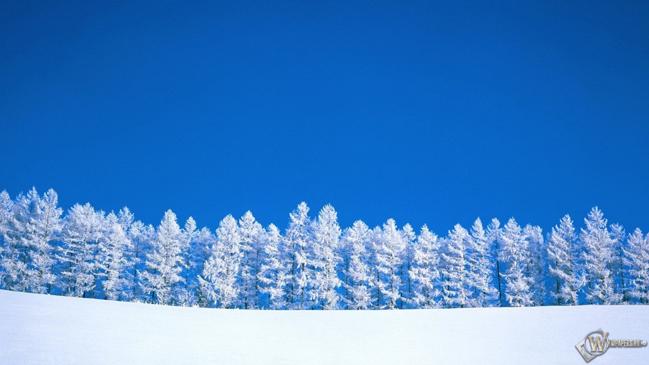 Зимний пейзаж 1280x720
